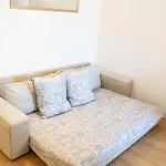 L'etoile Grenobloise Apartment